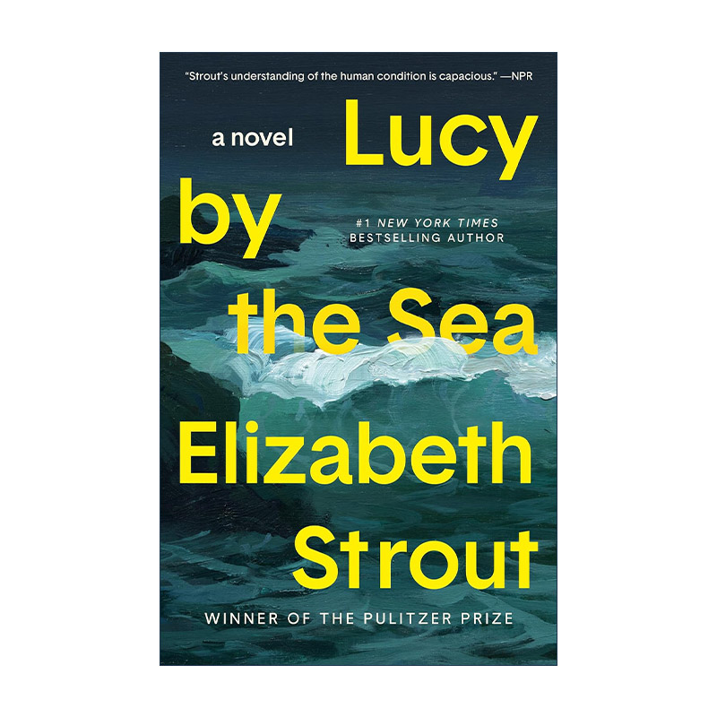 英文原版 Lucy by the Sea 海边的露西 奥丽芙·基特里奇作者 普利策奖得主伊丽莎白·斯特劳特Elizabeth Strout 英文版