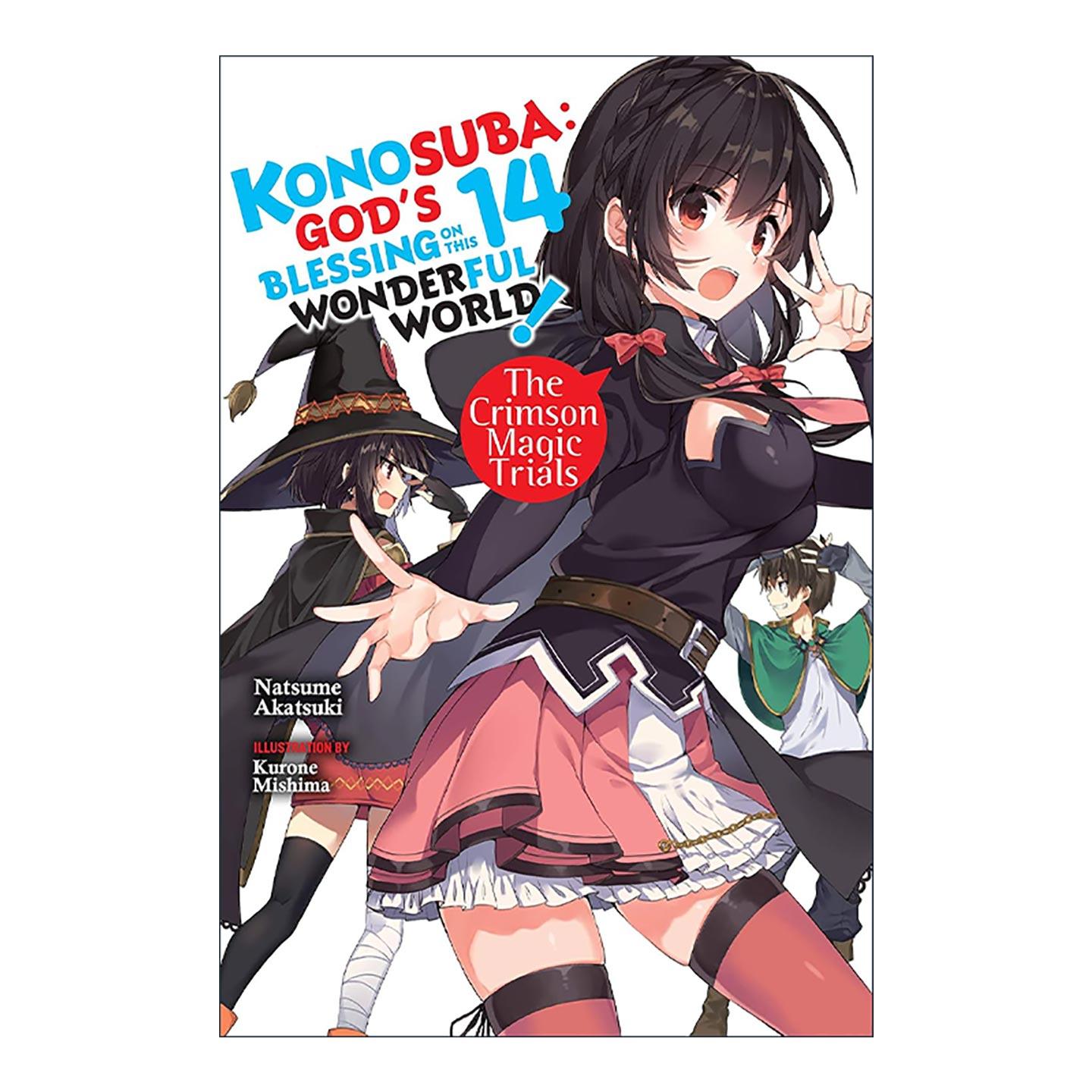 英文原版 Konosuba God's Blessing on This Wonderful World!  Vol. 14 为美好的世界献上祝福14 小说 英文版 进口英语原版书籍