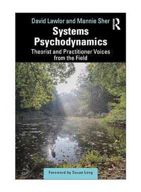英文原版 Systems Psychodynamics 系统心理动力学 来自实践领域的理论与实践声音 英文版 进口英语原版书籍