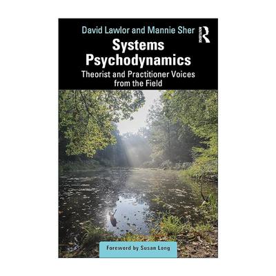 英文原版 Systems Psychodynamics 系统心理动力学 来自实践领域的理论与实践声音 英文版 进口英语原版书籍