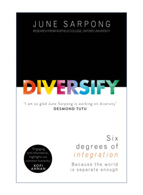 英文原版 Diversify 多样化 包容让所有人的生活更美好 英文版 进口英语原版书籍
