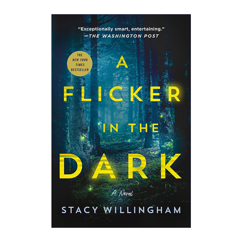 英文原版 A Flicker In the Dark 暗夜烁光 斯黛茜·威灵翰 英文版 进口英语原版书籍
