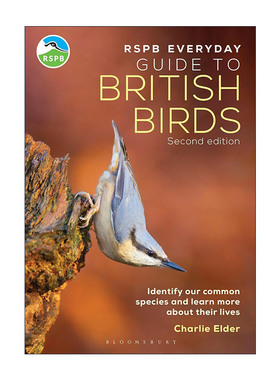 英文原版 The RSPB Everyday Guide to British Birds 皇家鸟类保护协会 英国鸟类日常指南 英文版 进口英语原版书籍