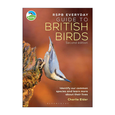 英文原版 The RSPB Everyday Guide to British Birds 皇家鸟类保护协会 英国鸟类日常指南 英文版 进口英语原版书籍