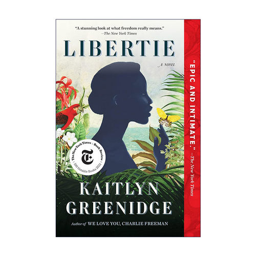 英文原版 Libertie 自由 非裔美国人历史小说 2021年度百家书选 英文版 进口英语原版书籍