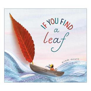 Find 书籍 进口英语原版 纸板书 You Aimee Leaf 英文版 英文原版 当你找到一片叶子 Sicuro 儿童环境保护主题绘本