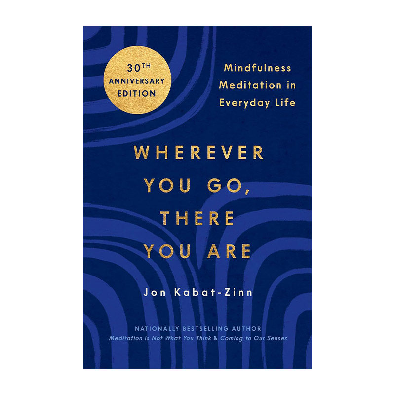 英文原版 Wherever You Go There You Are 正念 身心安顿的禅修之道 此刻是一枝花 英文版 进口英语原版书籍
