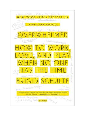 英文原版 Overwhelmed 不堪重负 如何在没人有时间的时候工作 恋爱和娱乐 英文版 进口英语原版书籍