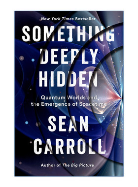 英文原版 Something Deeply Hidden 隐藏的宇宙 量子世界与时空涌现 Sean Carroll 精装 英文版 进口英语原版书籍