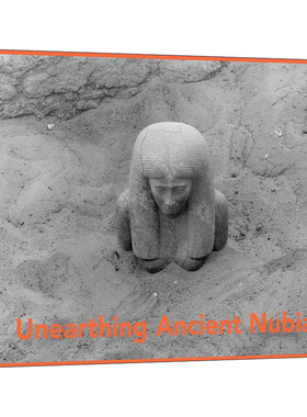 英文原版 Unearthing Ancient Nubia 发掘古努比亚 来自哈佛大学-波士顿美术考察博物馆的照片 精装 英文版 进口英语原版书籍