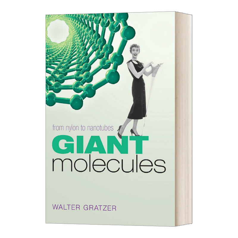 英文原版 Giant Molecules 大分子 从尼龙到纳米 英文版 进口英语原版书籍