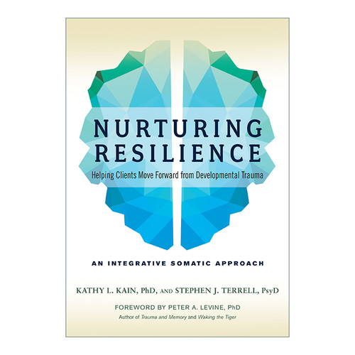 英文原版 Nurturing Resilience 培养复原力 心理创伤恢复 PTSD 综合指南 Kathy L Kain 英文版 进口英语原版书籍
