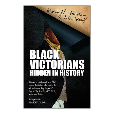 英文原版 Black Victorians 维多利亚时代的英国黑人 隐匿在历史当中 英文版 进口英语原版书籍