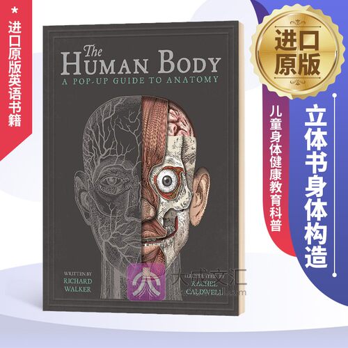 立体书身体构造英文版