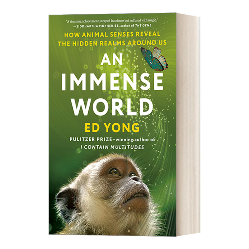 英文原版AnImmenseWorld