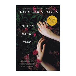 英文原版 Lovely Dark Deep 迷人的 昏暗的 幽深的 乔伊斯卡罗尔欧茨短篇小说集 英文版 进口英语原版书籍