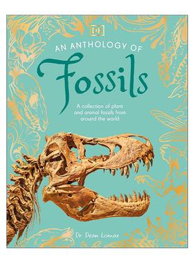 英文原版 An Anthology of Fossils 化石 DK典藏博物馆 自然科普百科精装 英文版 进口英语原版书籍