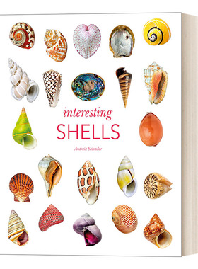 英文原版小说 Interesting Shells 有趣的贝壳 精装壳类百科 精装 英文版 进口英语原版书籍