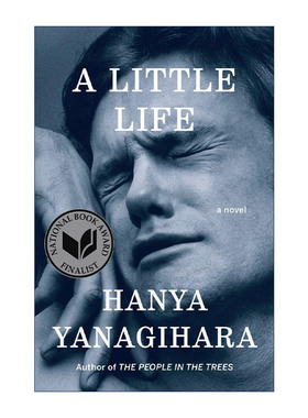 英文原版 A Little Life 渺小一生 Hanya Yanagihara 柳原汉雅 精装 英文版 进口英语原版书籍