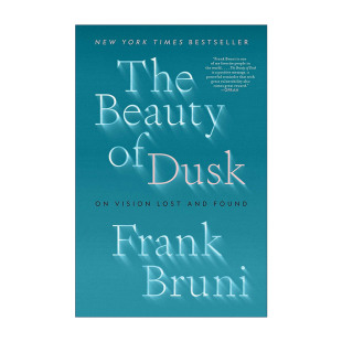 英文原版 The Beauty of Dusk 黄昏之美 视觉失物招领 英文版 进口英语原版书籍