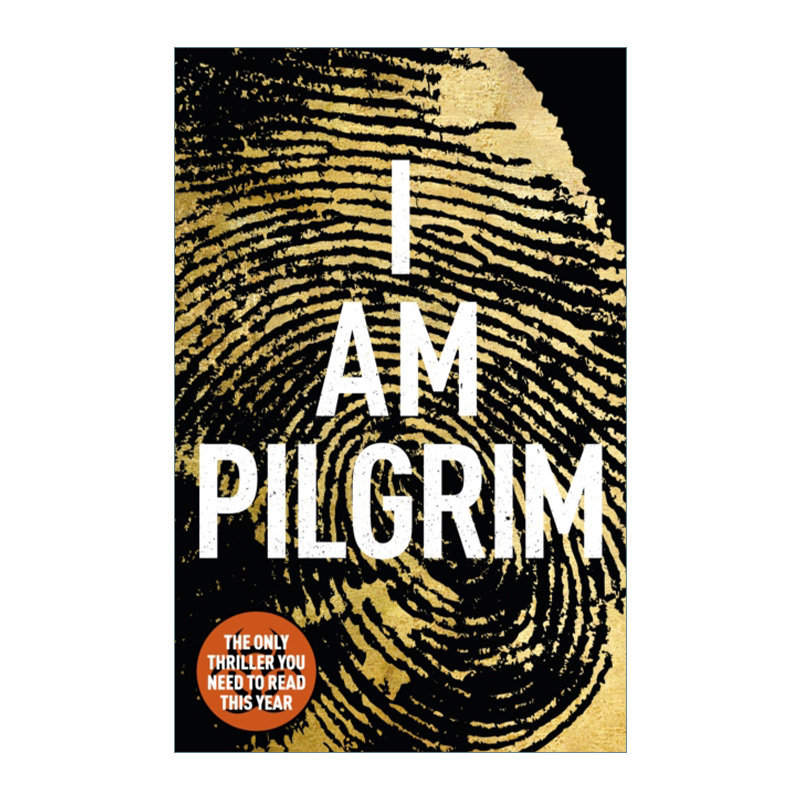英文原版小说 I Am Pilgrim 朝圣者 泰瑞·海耶斯 英文版 进口英语原版书籍