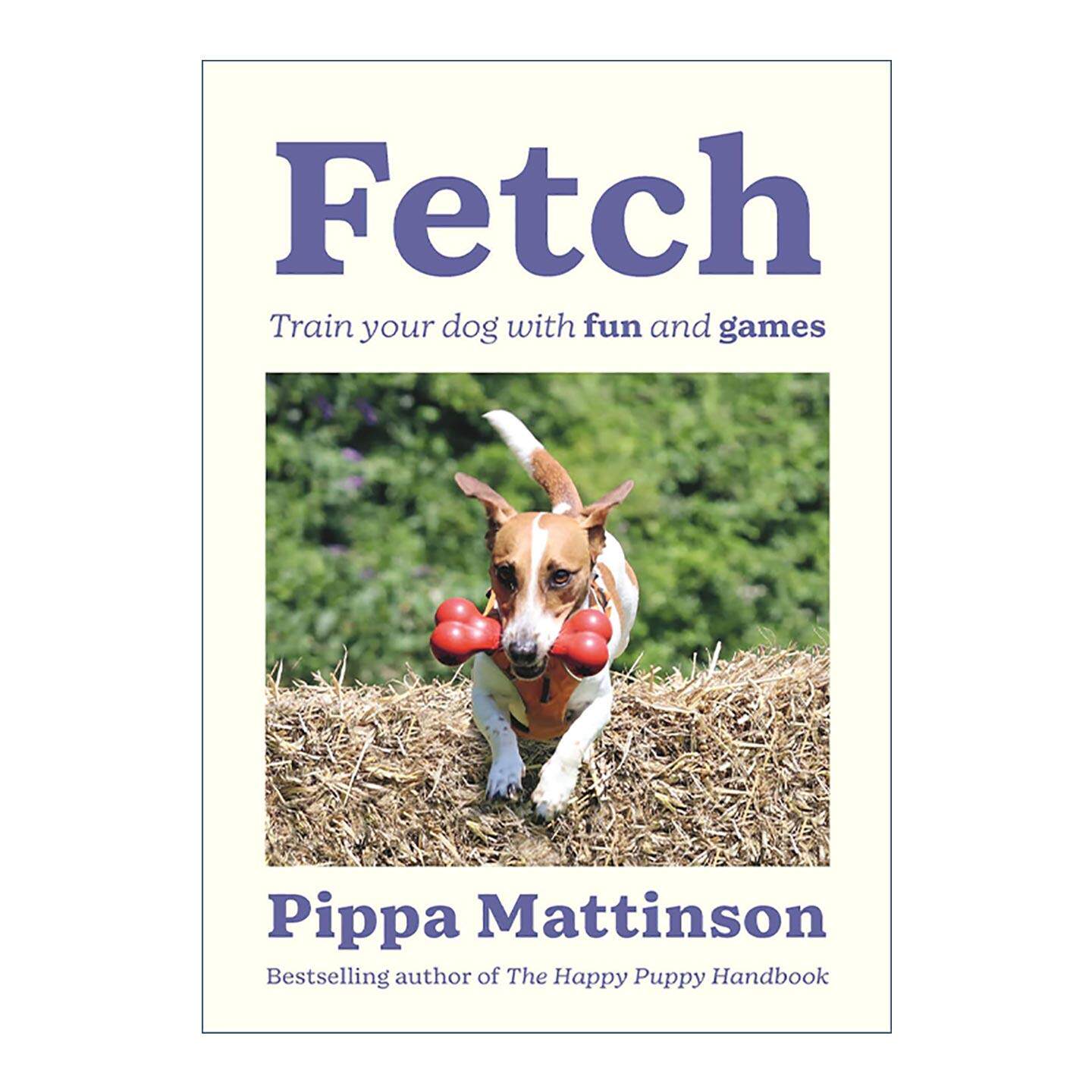 英文原版 Fetch 用趣味游戏训练你的狗狗 英文版 进口英语原版书籍