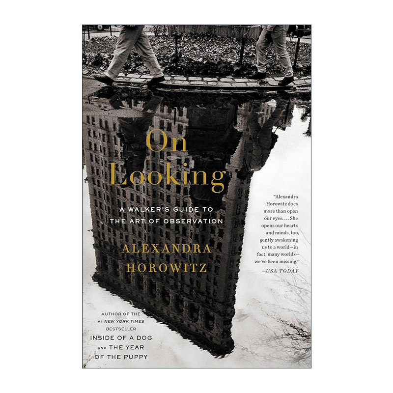 英文原版 On Looking 换一双眼睛去散步 跟11位专家在日常风景中找到惊奇 英文版 进口英语原版书籍
