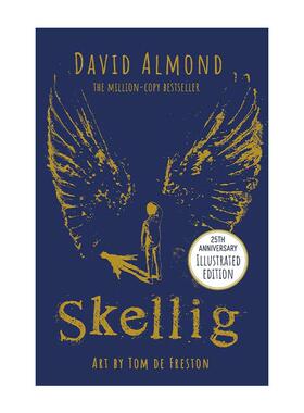 英文原版 Skellig 当天使坠落人间 25周年版 卡内基文学奖 普林兹银奖 David Almond 英文版 进口英语原版书籍