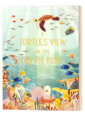 海龟眼中的海洋 英文原版 A Turtle's View of the Ocean Blue 英文版 Catherine Barr 全英文版进口原版英语书籍