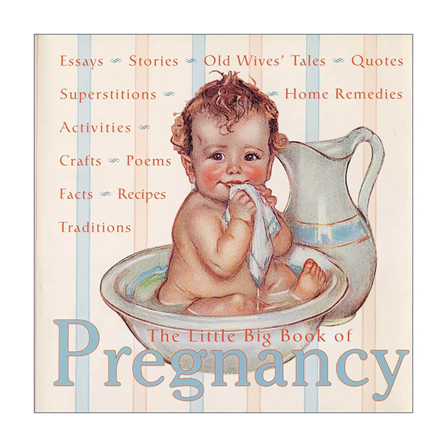 英文原版 The Little Big Book of Pregnancy 怀孕大小书 给准妈妈的礼物 孕期及生育指南 温暖文集 精装 英文版 进口英语原版书籍
