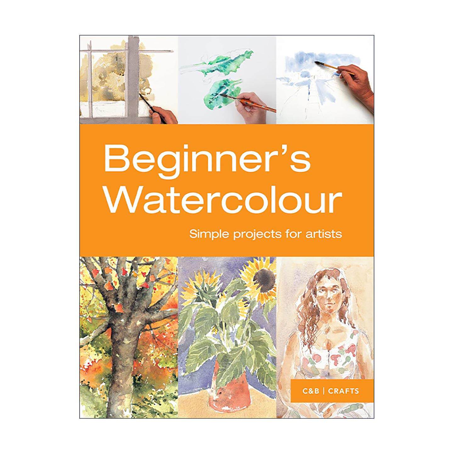 英文原版 Beginner's Watercolour 水彩入门 适合新手的简易绘画项目 英文版 进口英语原版书籍
