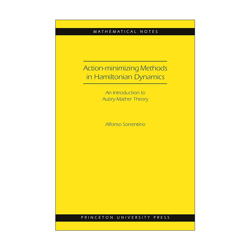 英文原版 Action-minimizing Methods in Hamiltonian Dynamics 哈密顿动力学中的作用极小化方法 数学 英文版 进口英语原版书籍