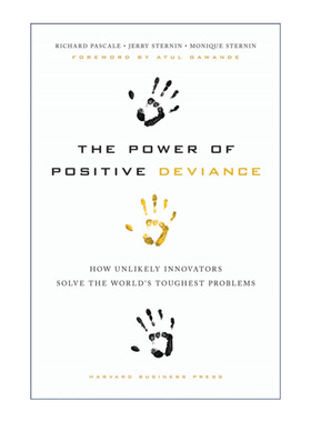 英文原版 The Power of Positive Deviance 正向偏差的力量 反直觉解决问题 哈佛商业评论 Pascale Richard 精装 进口英语原版书籍
