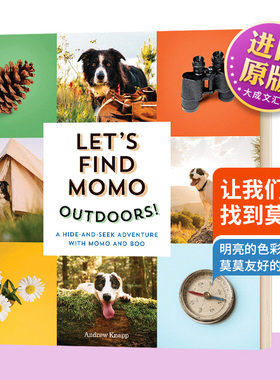 英文原版 Andrew Knapp Let's Find Momo Outdoors! 让我们找到莫莫5 纸板书 Momo与Boo 儿童互动摄影书 英文版 进口英语原版书籍
