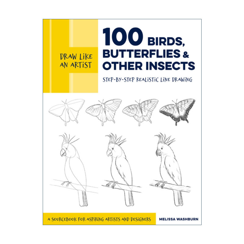 英文原版 Draw Like an Artist 100 Birds Butterflies and Other Insects 像艺术家一样画画 100种昆虫 英文版 进口英语原版书籍