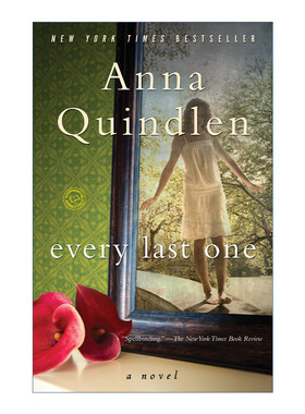 英文原版 Every Last One 每一个人 家庭生活小说 Anna Quindlen 英文版 进口英语原版书籍