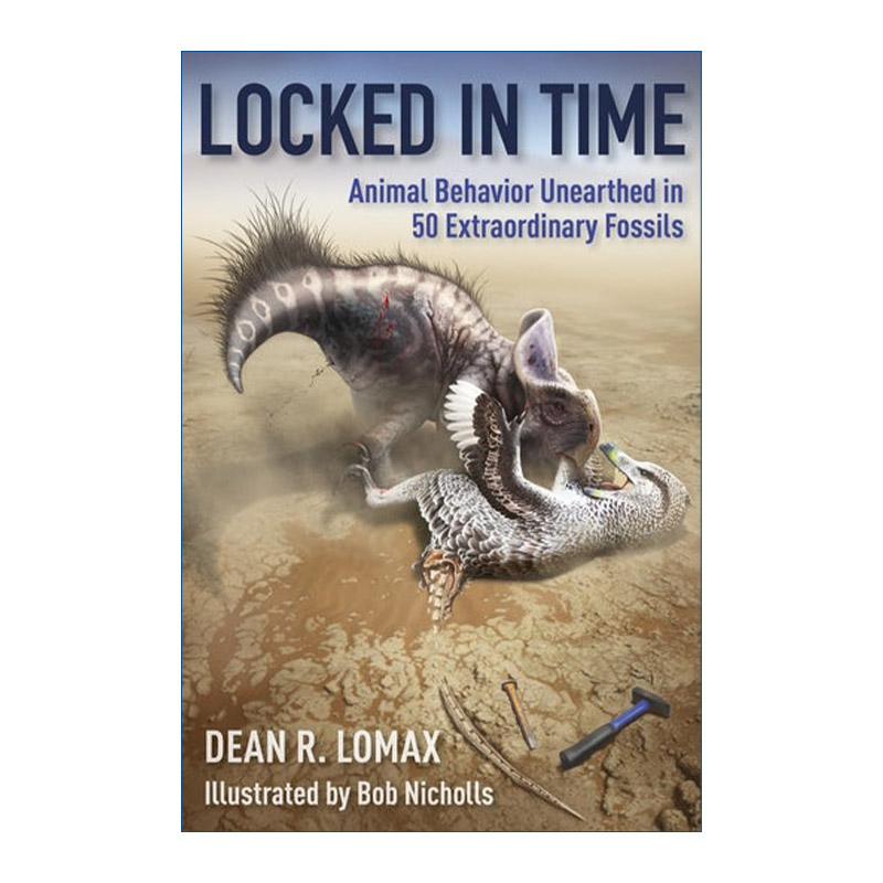 英文原版 Locked in Time 锁定时间 在50个非凡化石中发现的动物行为 古生物学 Dean R. Lomax 英文版 进口英语原版书籍