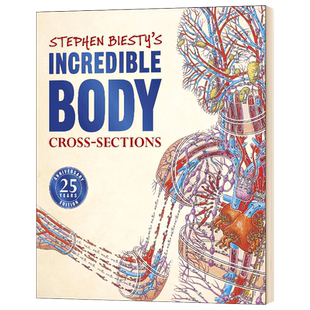 Stephen Biesty's Incredible Body Cross sections 英文原版 不可思议的大剖面 人体的秘密 25周年版 DK科普百科英文版进口英语书