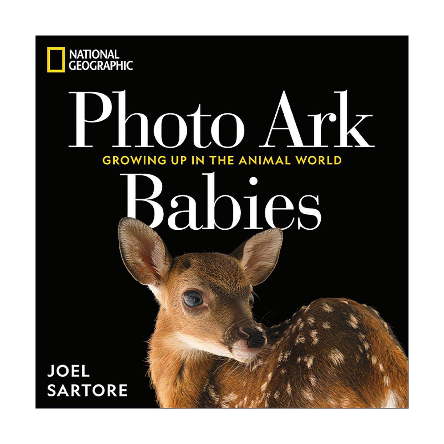 英文原版 National Geographic Photo Ark Babies 美国国家地理影像方舟 幼崽们 动物世界的成长 精装摄影艺术图册 进口英语书籍
