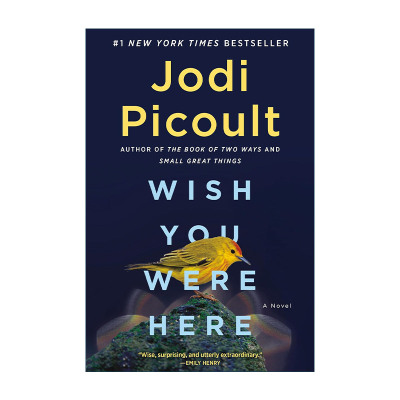 英文原版 Wish You Were Here 希望你在这里 渺小的伟大作者Jodi Picoult朱迪·皮考特 英文版 进口英语原版书籍