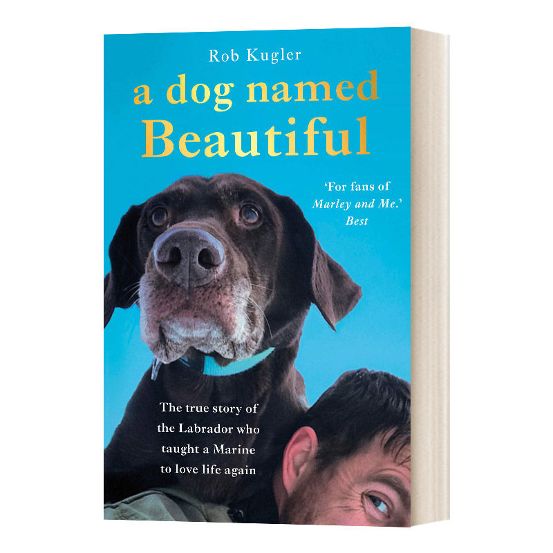 英文原版 A Dog Named Beautiful 一只名叫美丽的狗 关于动物与人的真实故事 英文版 进口英语原版书籍