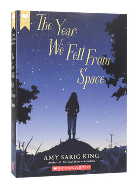 英文原版 The Year We Fell From Space 我们从太空坠落的那一年 英文版 进口英语原版书籍儿童图书
