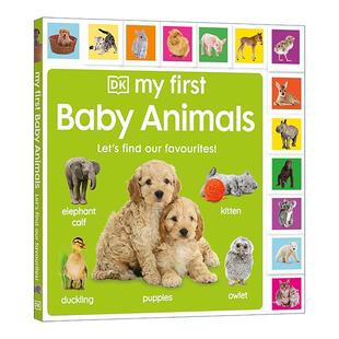 Animals Find Baby DK儿童启蒙认知纸板书 书籍 英文原版 动物宝宝书 Let First Favourites our 进口英语原版 我