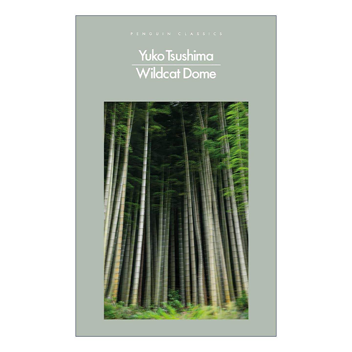 英文原版 Wildcat Dome 野猫穹顶 津岛佑子 英文版 进口英语原版书籍