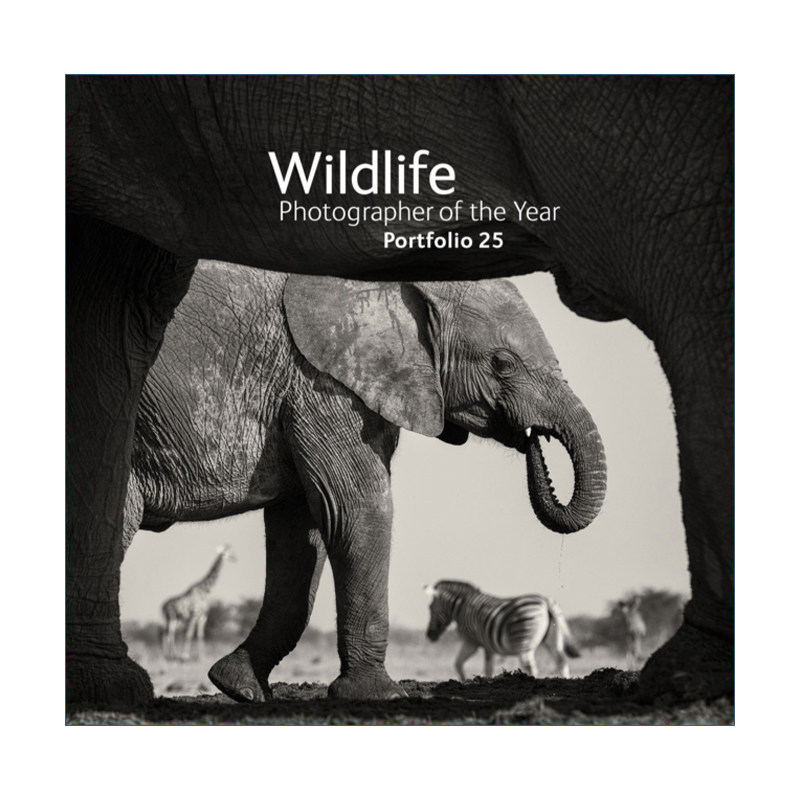 英文原版 Wildlife Photographer of the Year Portfolio 25 年度野生动物摄影师作品集 第25卷 精装 英文版 进口英语原版书籍