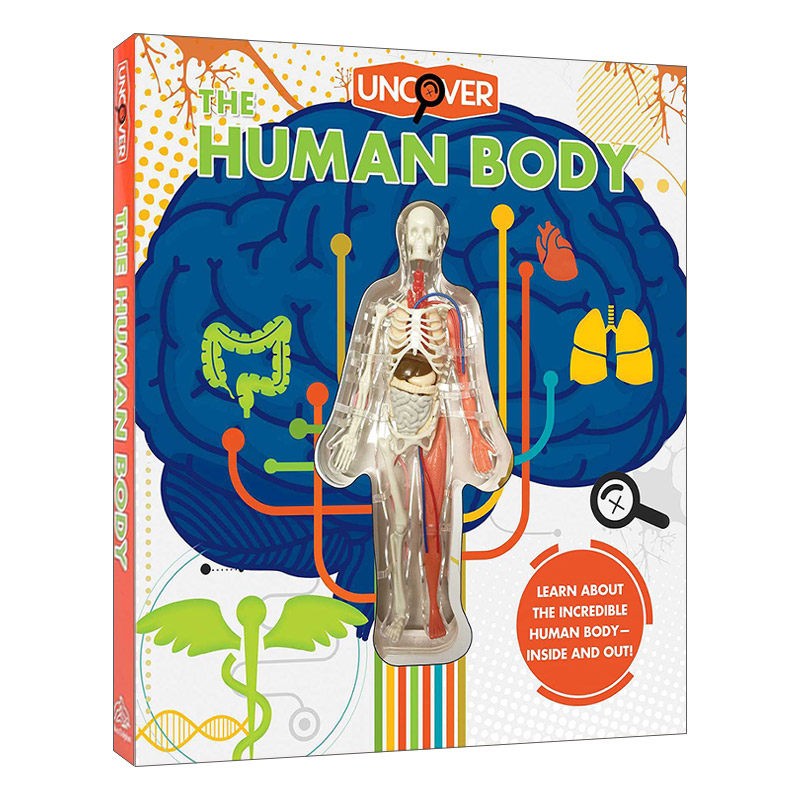 英文原版 Uncover the Human Body 揭秘人体 洞洞书 精装 英文版 进口英语原版书籍