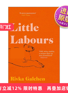 英文原版 Little Labours 小孕妇 里夫卡·加尔琴 女性小说 英文版 进口英语原版书籍