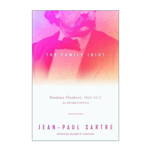 英文原版 The Family Idiot 家庭白痴 福楼拜传 1821–1857年 删节版 英文版 进口英语原版书籍