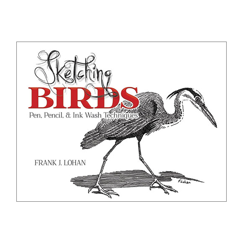 英文原版 Sketching Birds 鸟类素描指南 钢笔 铅笔和水墨绘画技巧 Frank J. Lohan 英文版 进口英语原版书籍