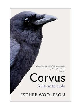 英文原版 Corvus 与鸦为伴 Esther Woolfson 回忆录 自然历史写作 英文版 进口英语原版书籍